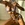 2022 bikinis woman swimwear