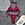 bikinis woman swimwear