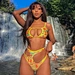 bikini