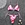bikinis woman swimwear