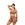 plus size yoga sets