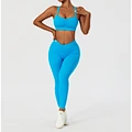 V Cut Leggings and Bra Set