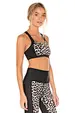 Fitness Sports Bra