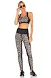 Fitness Sports Bra