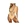 women bikini sets