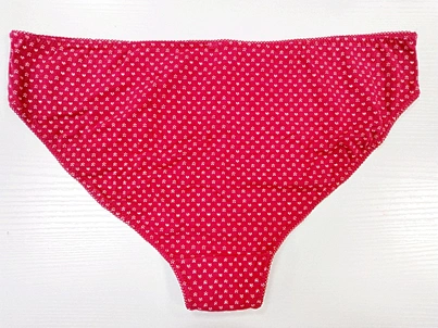 Lace Briefs Underwear