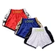 mma shorts