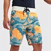 Swim Trunks