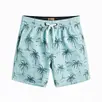 swim-trunks board shorts-wholesale