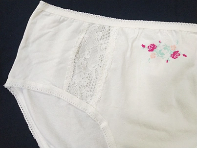 plus size panties