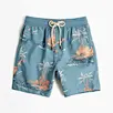 swim-trunks board shorts-wholesale