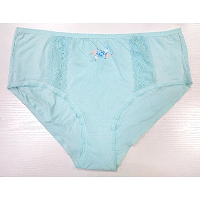 plus size panties