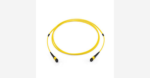 Fibres Singlemode MTP/MPO Trunk Cables