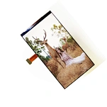 1080x1920 lcd display HD