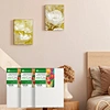 Art Painting Canvas  Frame