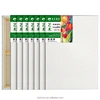 canvas frame