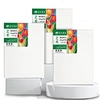 Canvas Painting Kits