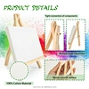 Mini Easel And Canvas