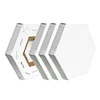 Mini Preprinted Stretched Canvas Frame