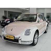 New Energy Car