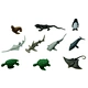 safari
TOOB
amazon