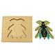 Montessori Puzzle
Montessori materials
Montessori kids