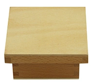 Montessori