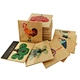 Montessori toys set
Montessori materials
Montessori school