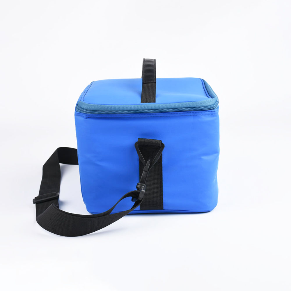 blue cool bags for picnics to keep food cool and warm,reusable lunch tote bags! speciality designer insulated bags.