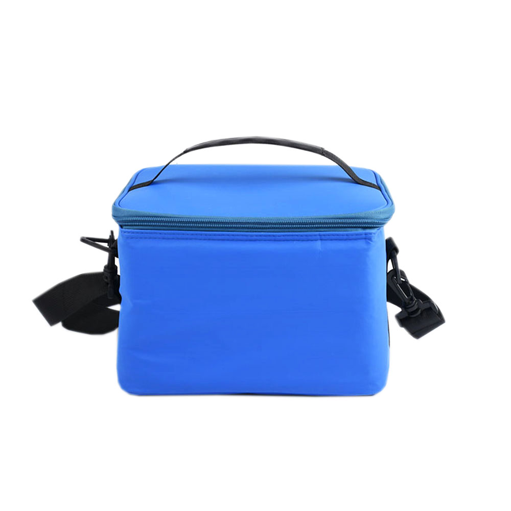 blue cool bags for picnics to keep food cool and warm,reusable lunch tote bags! speciality designer insulated bags.