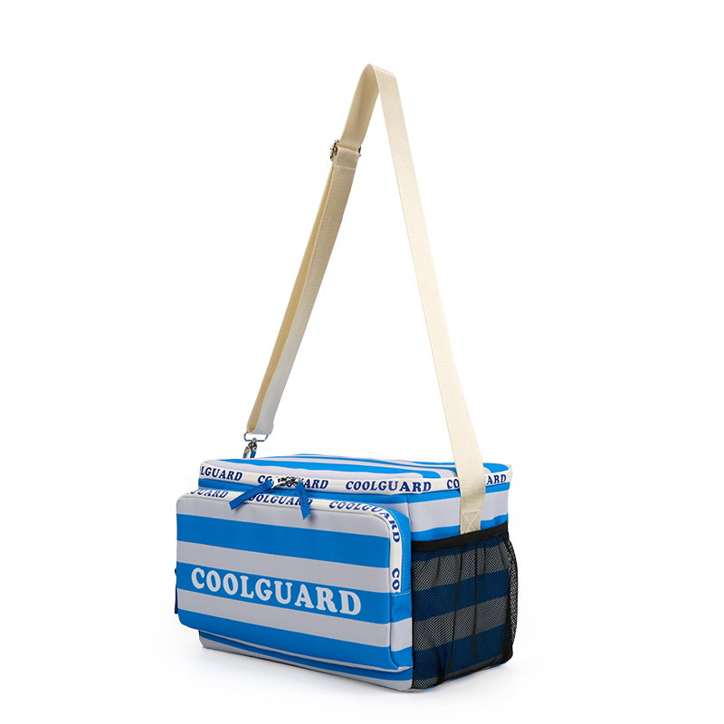 travel cooler bag