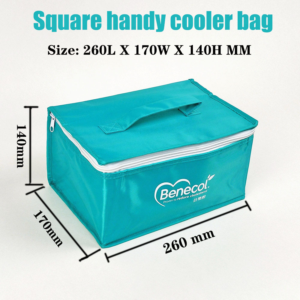 square insulated lunch handbag and cooler beach bags,can custom coolers with logo and cooler waterproof fabric to expand your brand.