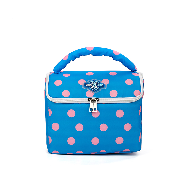 cute lunch bags for women