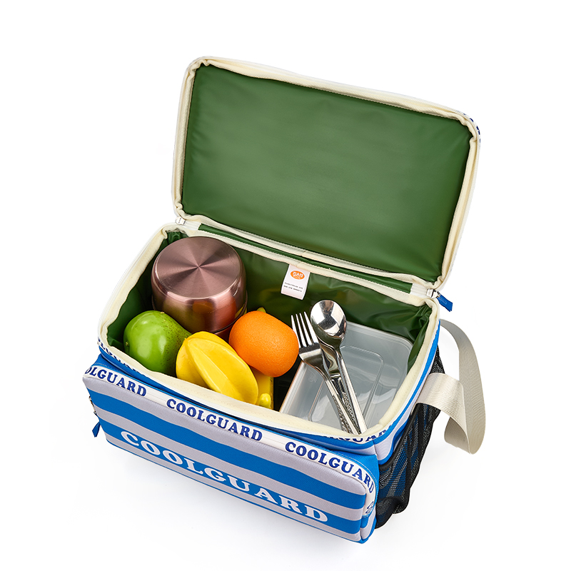 travel cooler bag