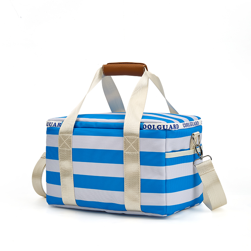 best bag cooler