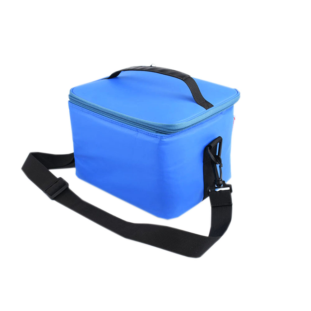 blue cool bags for picnics to keep food cool and warm,reusable lunch tote bags! speciality designer insulated bags.
