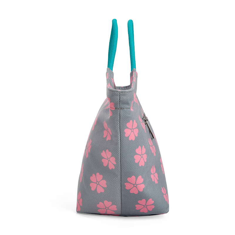 carry bag for lunch
