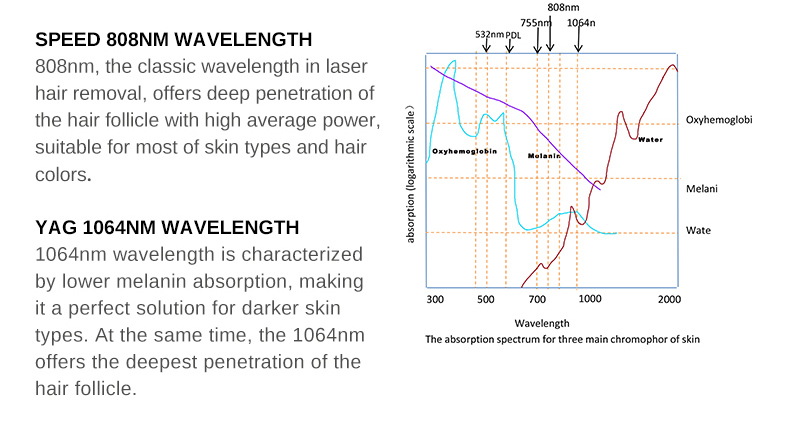 Laser Diode