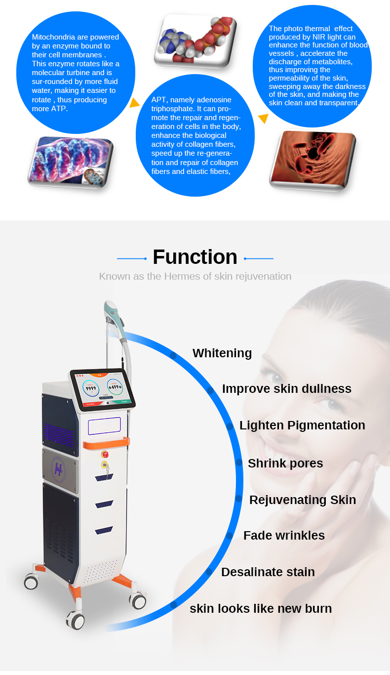 Skin Rejuvenation Equipment