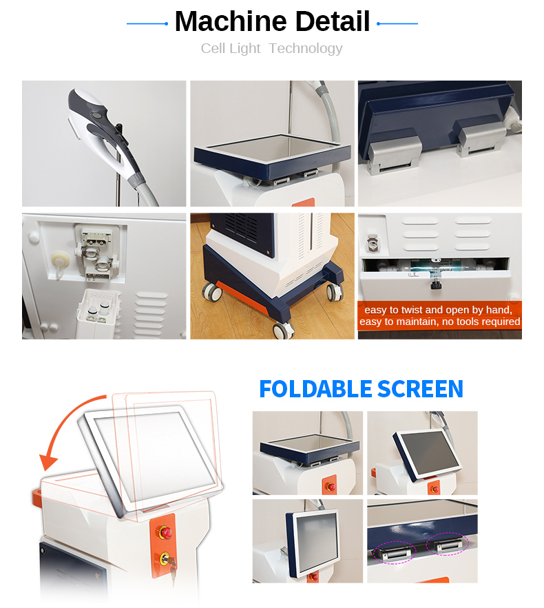 DPL IPL System
