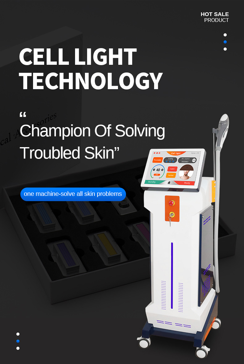 DPL IPL System