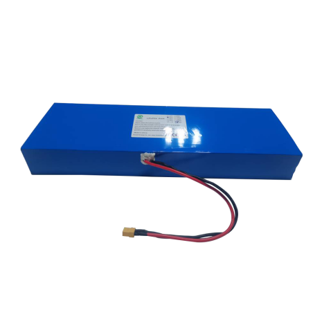 Lithium ion phosphate battery manufacturer