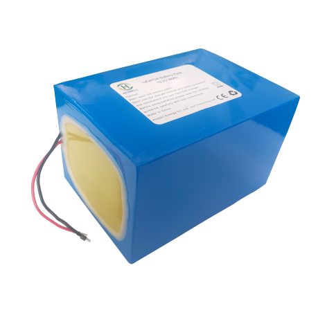 lifepo4 battery pack 60ah factory