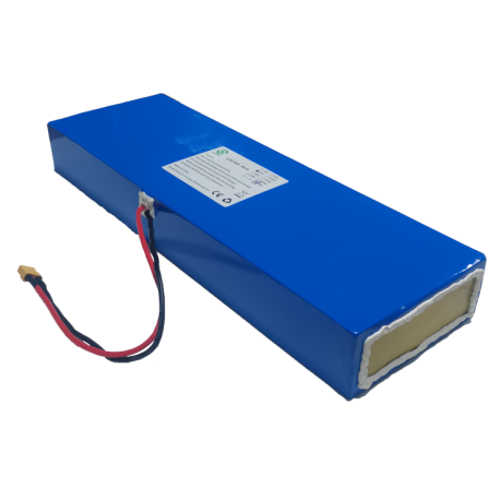 Lithium ion phosphate battery factory