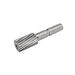 Worm Gear Shaft