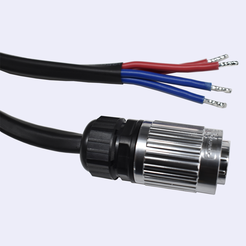 Electric Vehicle Wire Harness