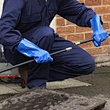 drain rod