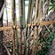 black nylon cable ties