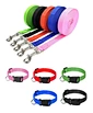 dog lead collar