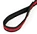 dog lead dog leash